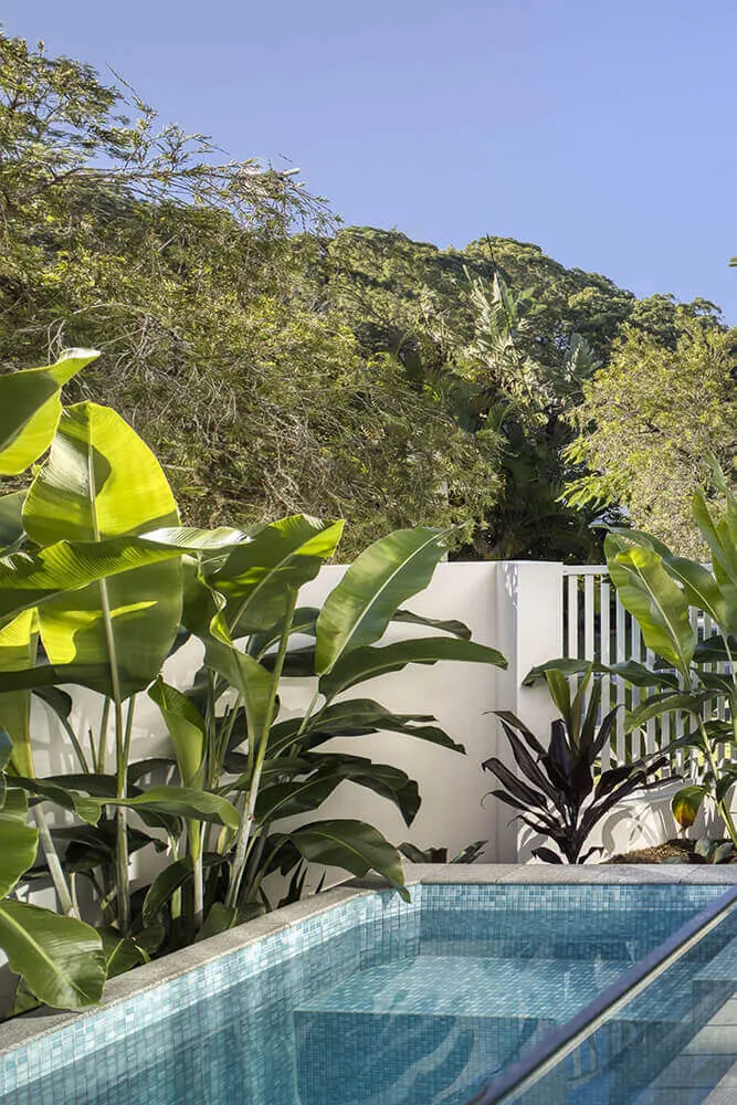 Tiled plunge pool framed by tropical plants