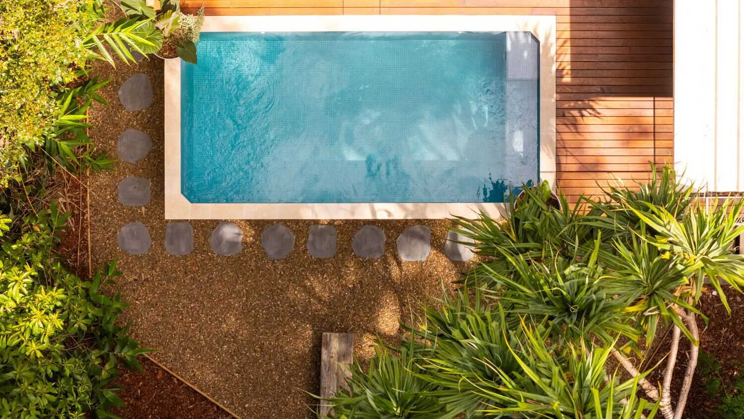 An aerial view of a rectangular Oasis plunge pool beside a timber wall, with stepping stones and tropical planting