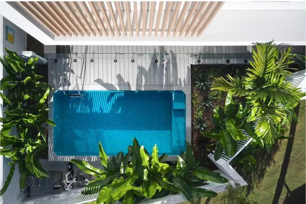 Top-down view of a rectangular plunge pool among tropical plants