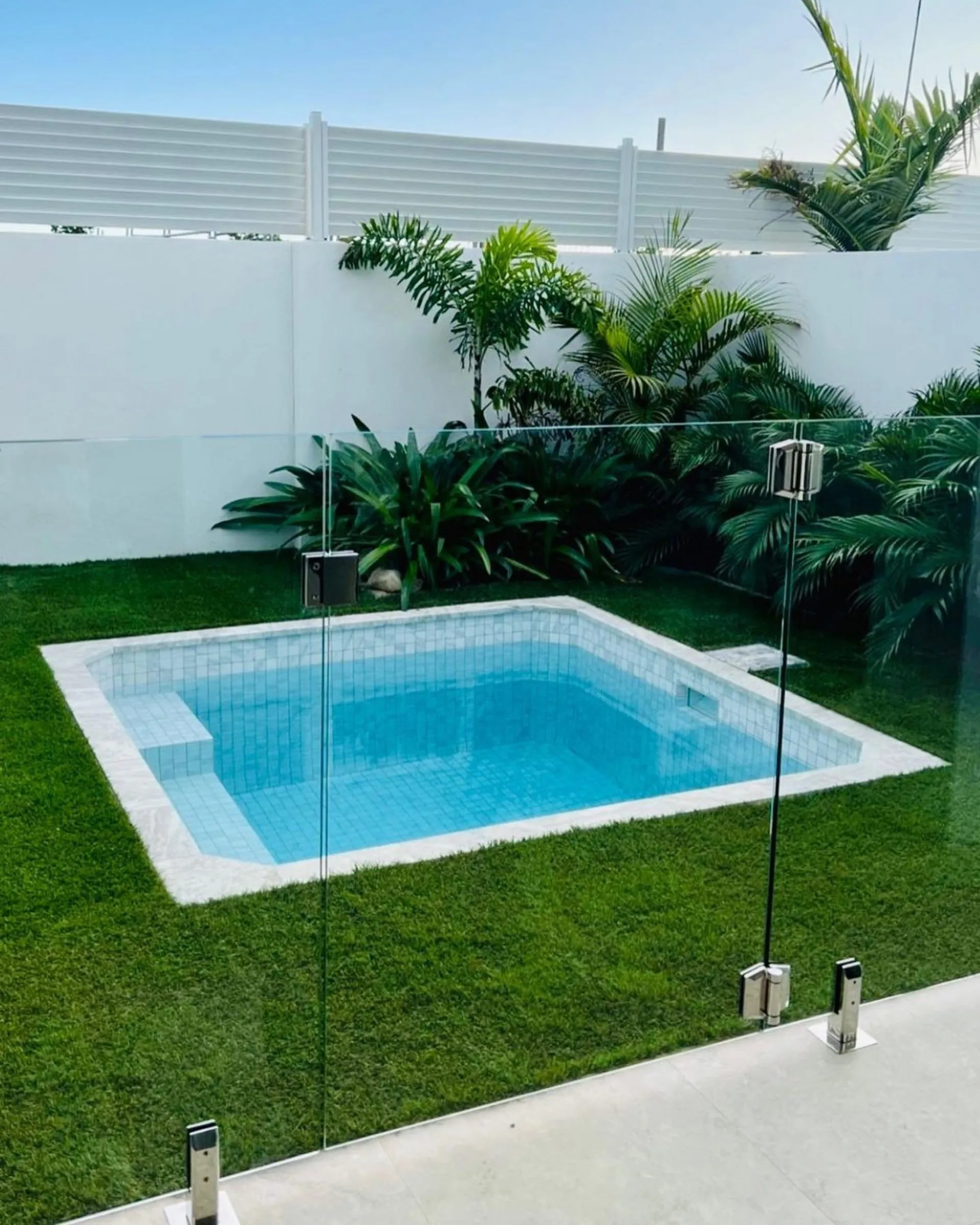 Square plunge pool on a lawn with glass fencing and tropical plants