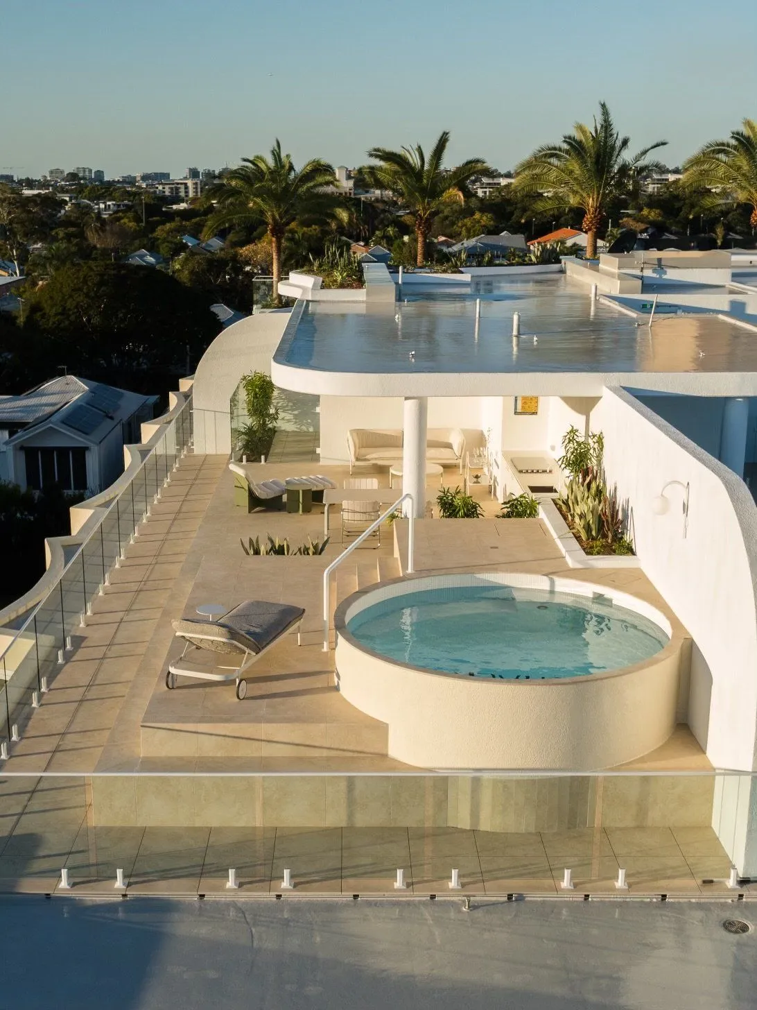 Round plunge pool on a rooftop terrace with palm trees beyond
