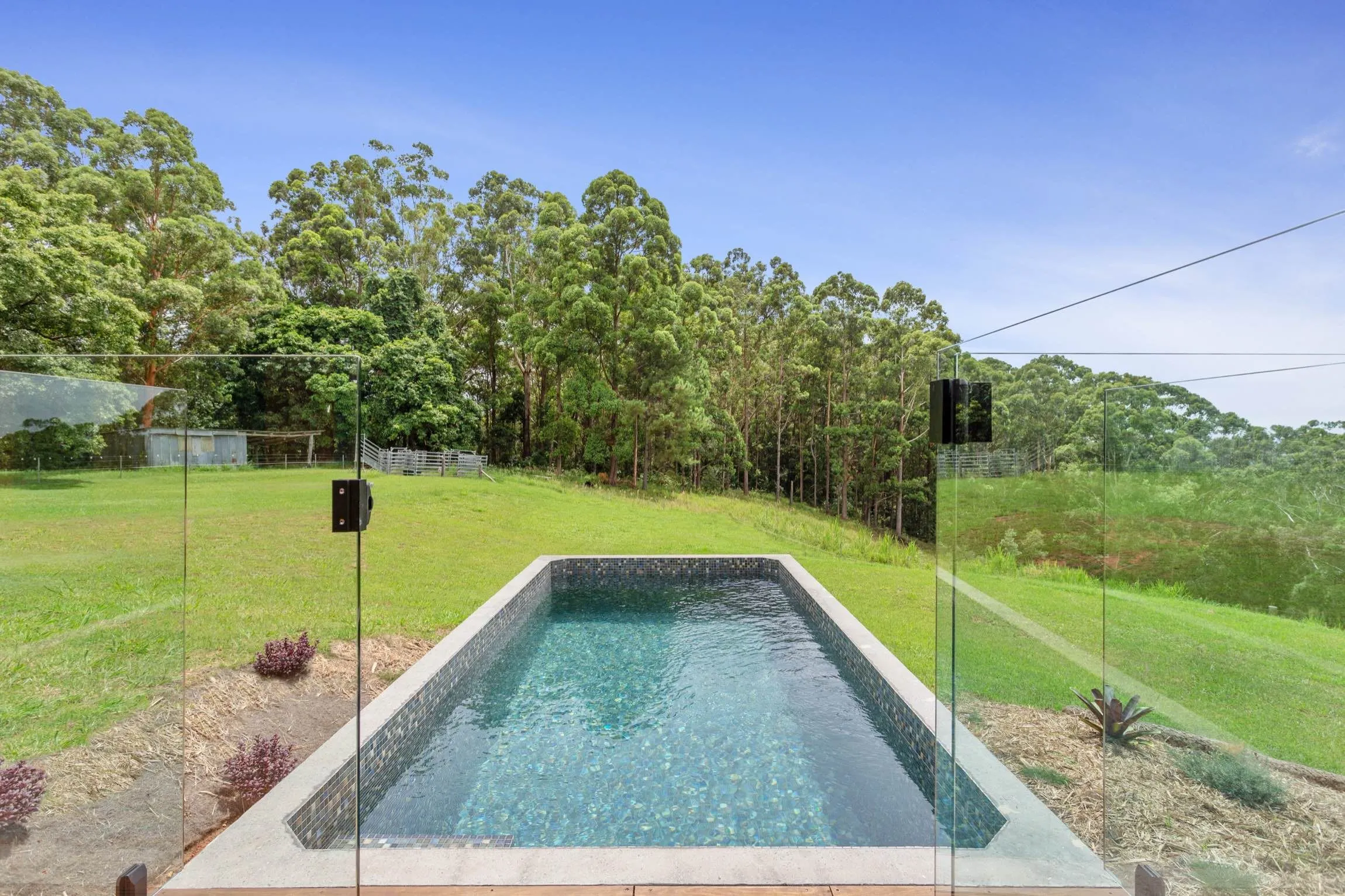 Rectangular plunge pool with glass fencing on a lawn edged by bushland