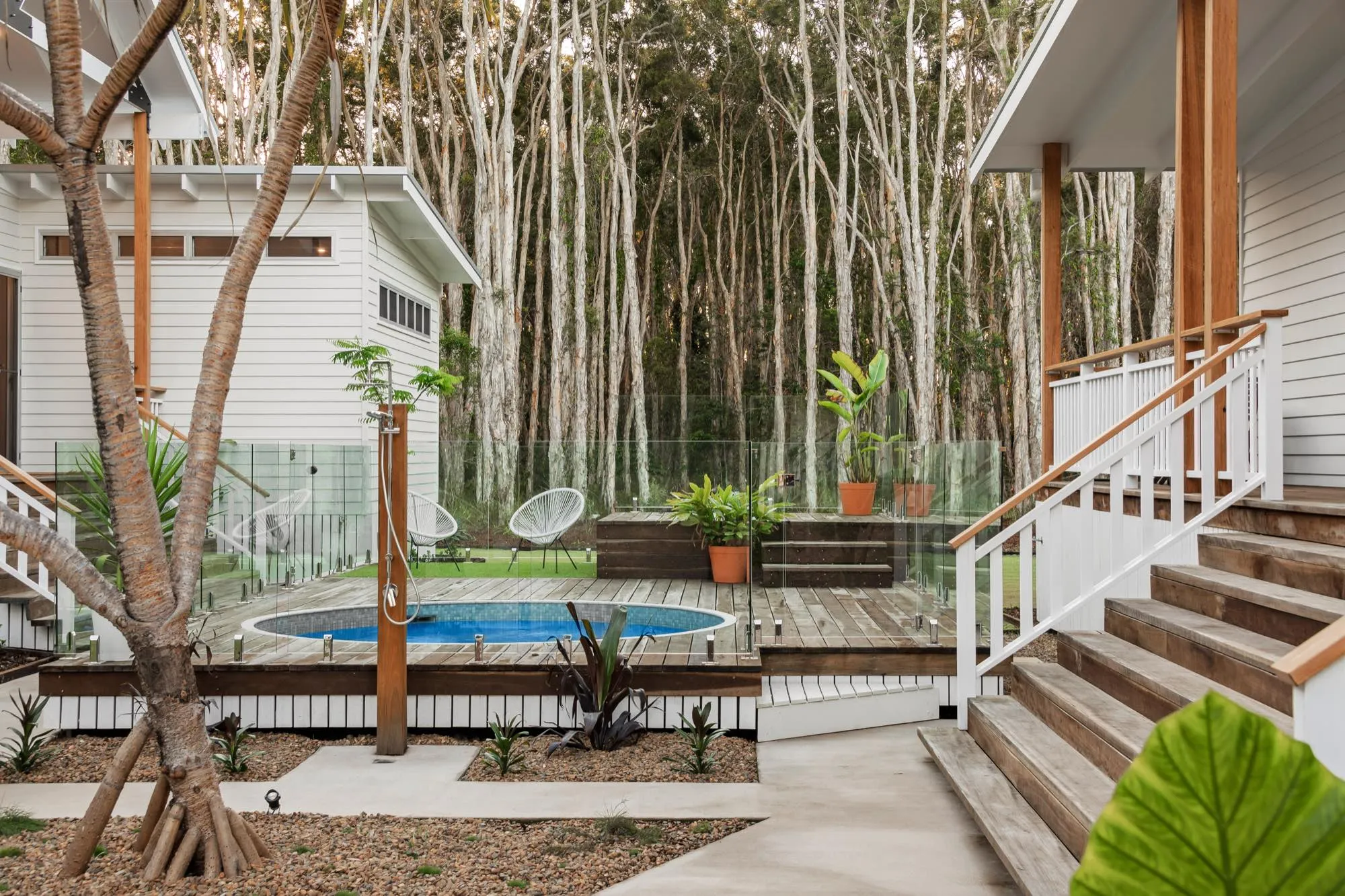 A round plunge pool set into a timber deck with glass fencing, surrounded by tall trees